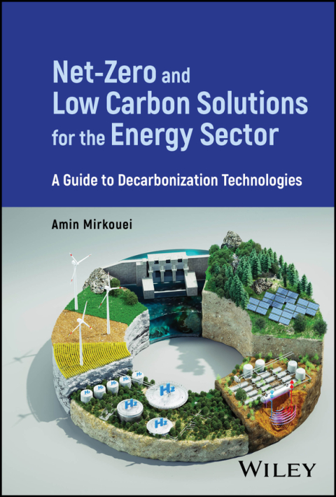 Netzero And Low Carbon Solutions For The Energy Sector 1st Edition Amin Mirkouei