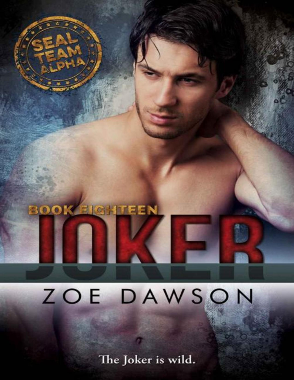 Joker Seal Team Alpha Book 18 Zoe Dawson