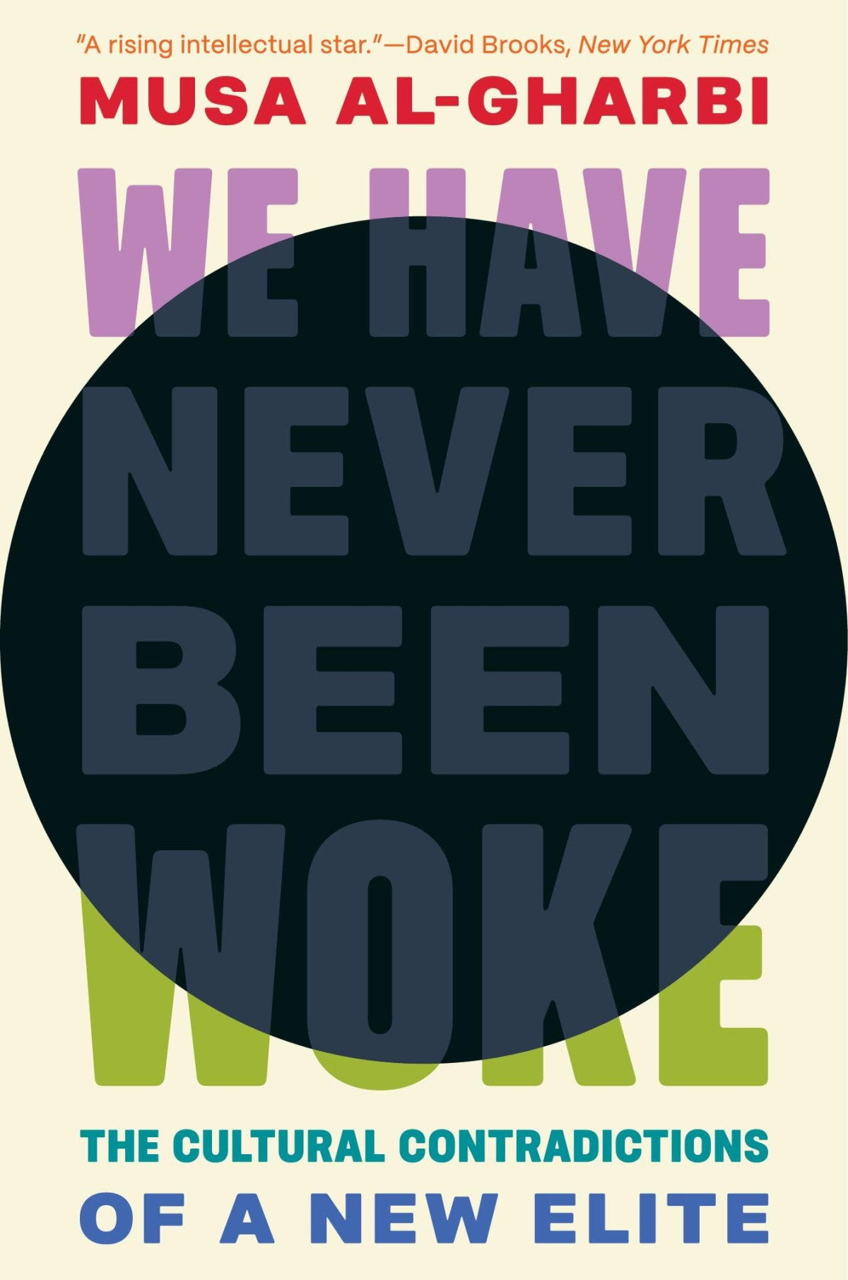 We Have Never Been Woke The Cultural Contradictions Of A New Elite Musa Algharbi