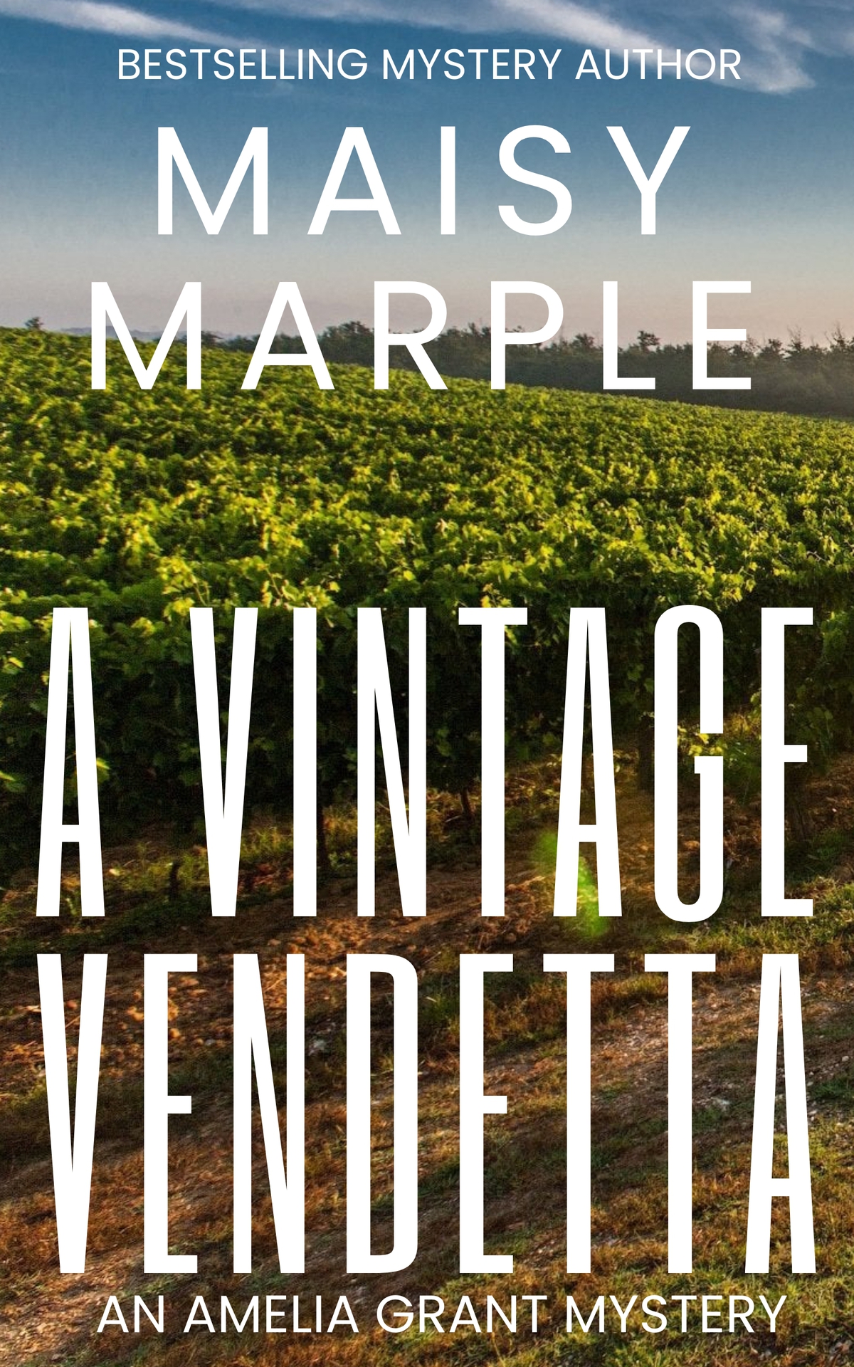 A Vintage Vendetta Amelia Grant Mystery Series Book 1 Maisy Marple