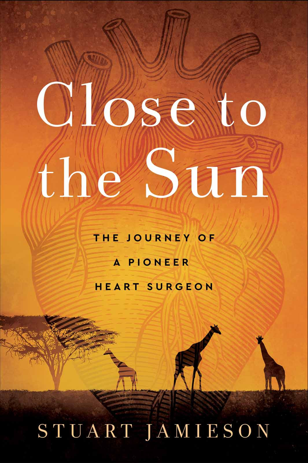 Close To The Sun Stuart Jamieson