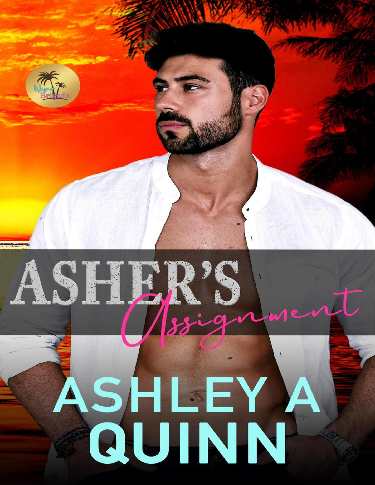 Ashers Assignment Ashley A Quinn