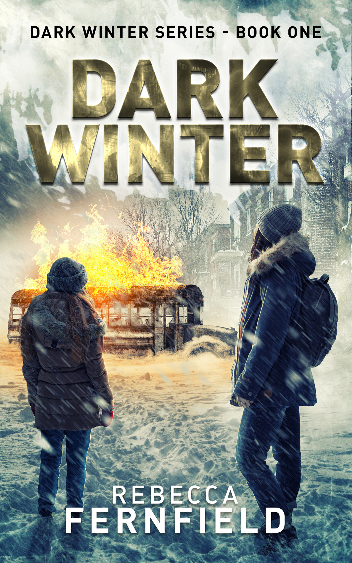 Dark Winter An Emp Adventure Survival Thriller Fernfield Rebecca