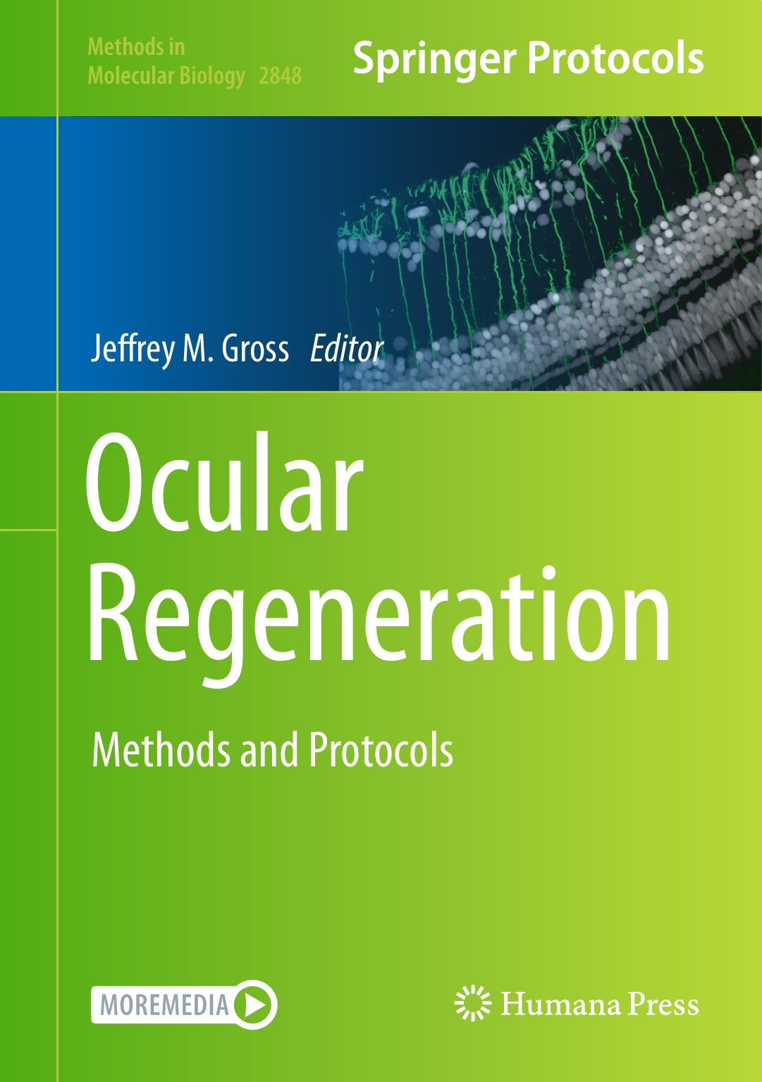 Ocular Regeneration Methods And Protocols Jeffrey M Gross