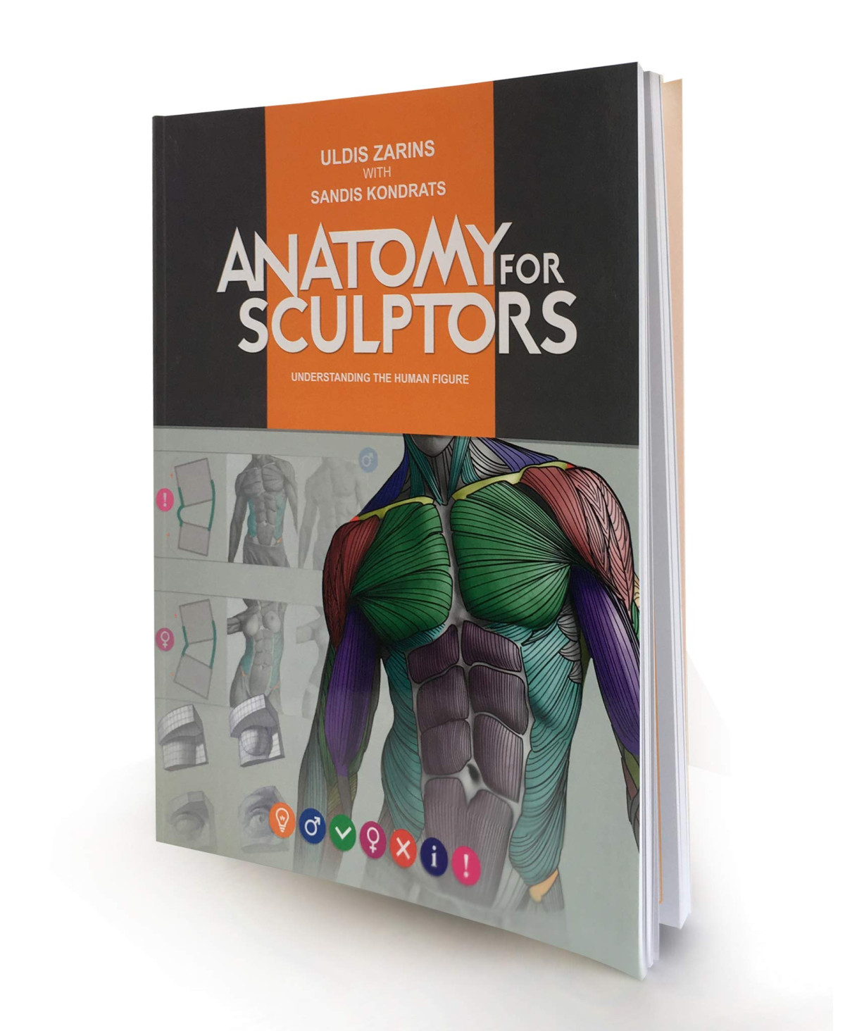 Anatomy For Sculptors Understanding The Human Figure 3rd Uldis Zarins