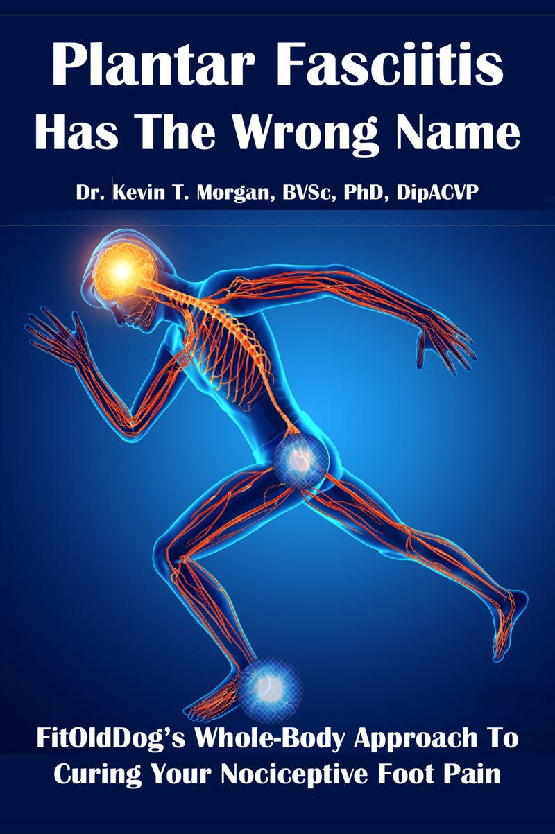 Plantar Fasciitis Has The Wrong Name Fitolddogs Wholebody Approach To Curing Your Nociceptive Foot Pain Dr Kevin T Morgan