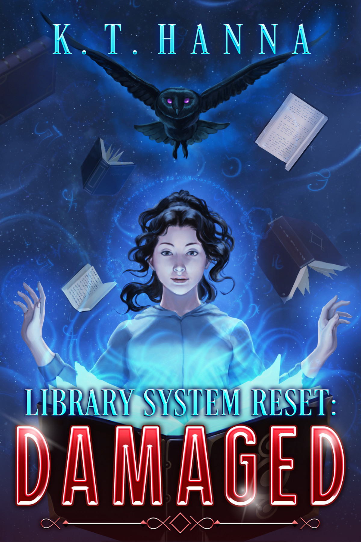 Library System Reset Damaged Kt Hanna