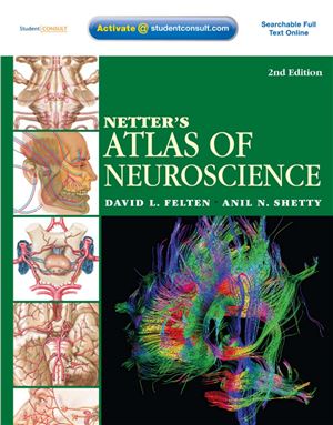Netters Atlas Of Neuroscience 2nd Edition Felten David L