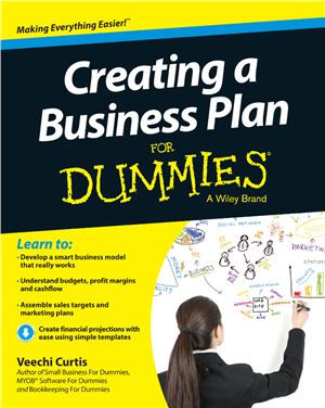 Creating A Business Plan For Dummies Veechi Curtis