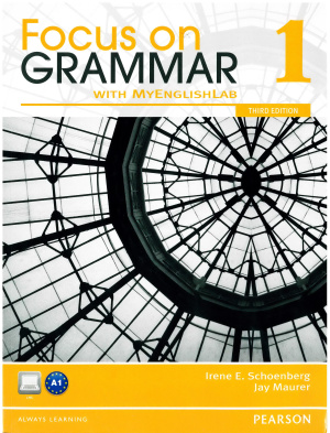 Focus On Grammar 1 Students Book A1 3rd Edition Irene E Schoenberg