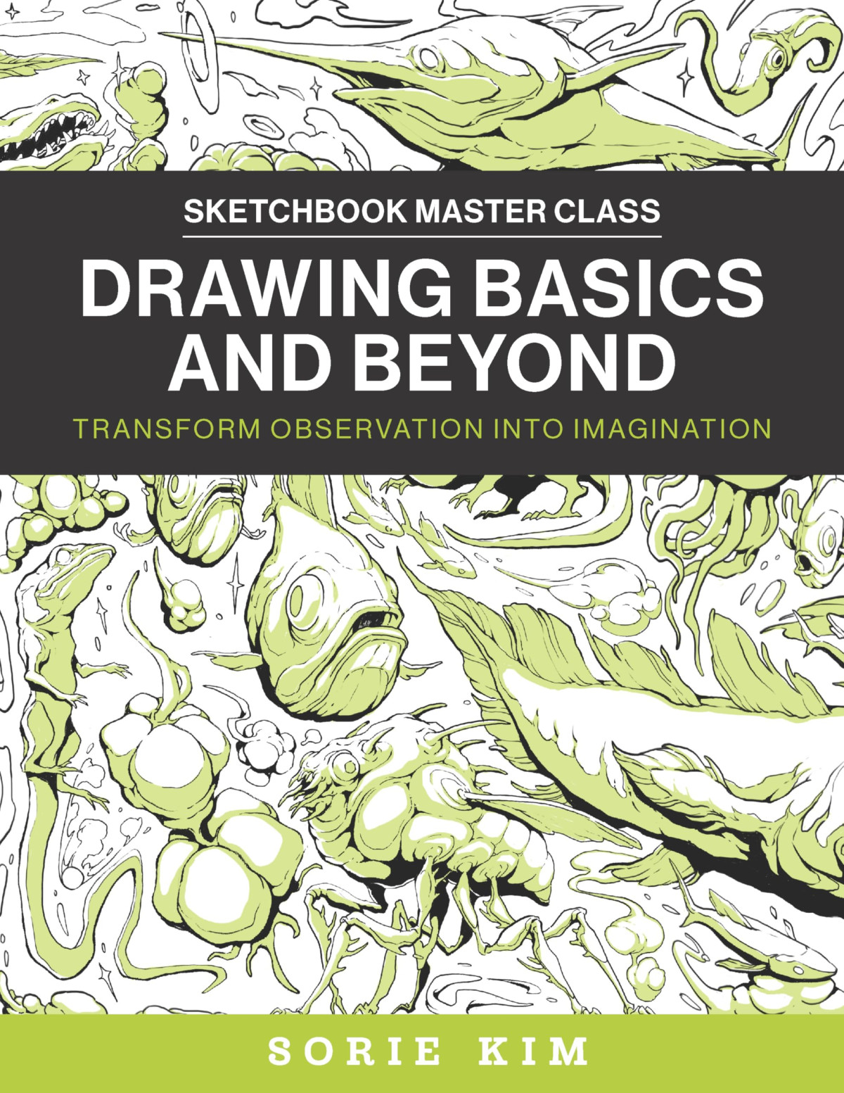 Drawing Basics And Beyond Transform Observation Into Imagination Sorie Kim