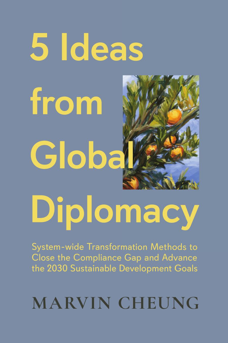 5 Ideas From Global Diplomacy Marvin Cheung
