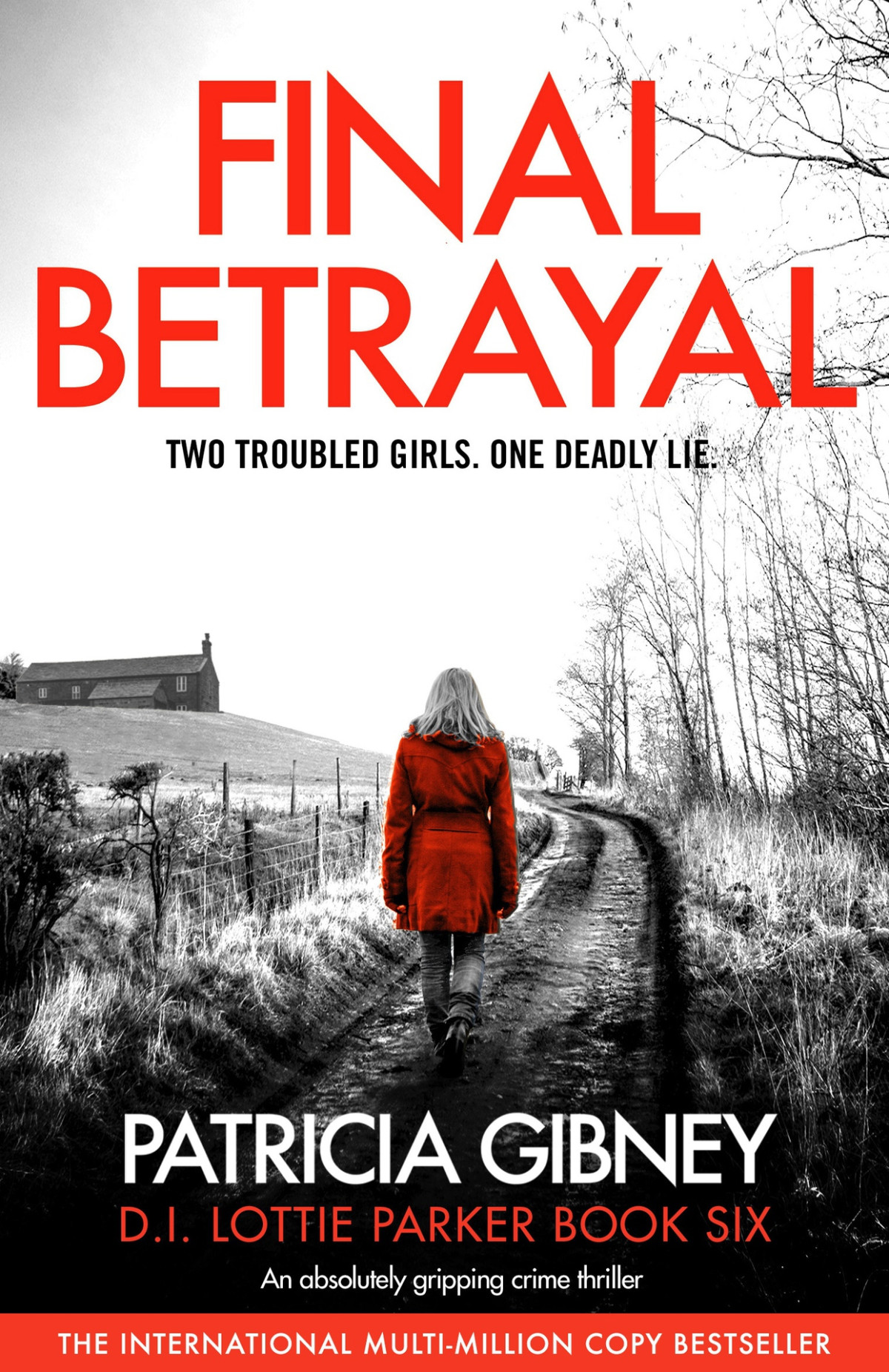 Final Betrayal An Absolutely Gripping Crime Thriller Detective Lottie Parker Book 6 Patricia Gibney