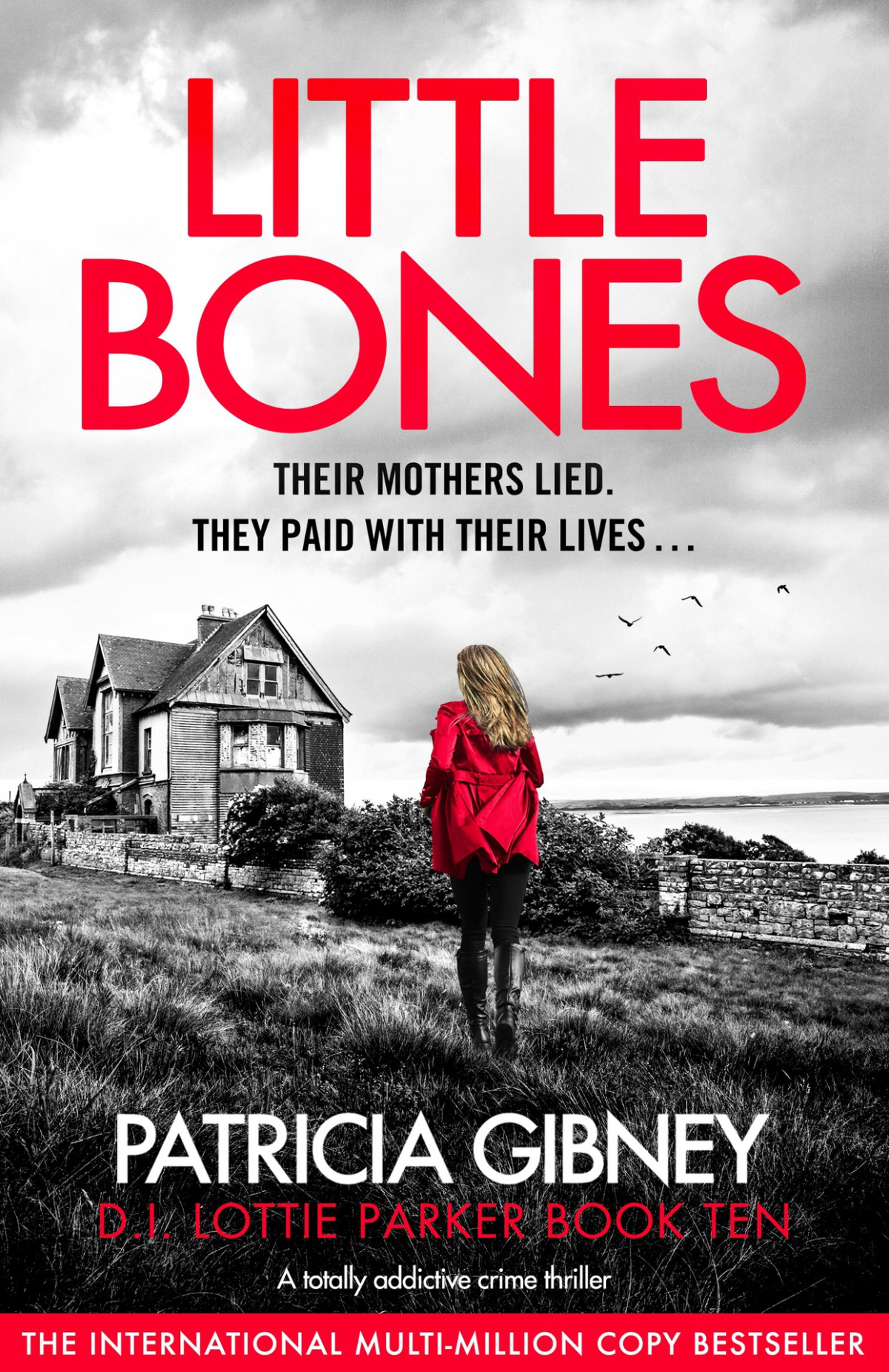 Little Bones A Totally Addictive Crime Thriller Detective Lottie Parker Book 10 Patricia Gibney