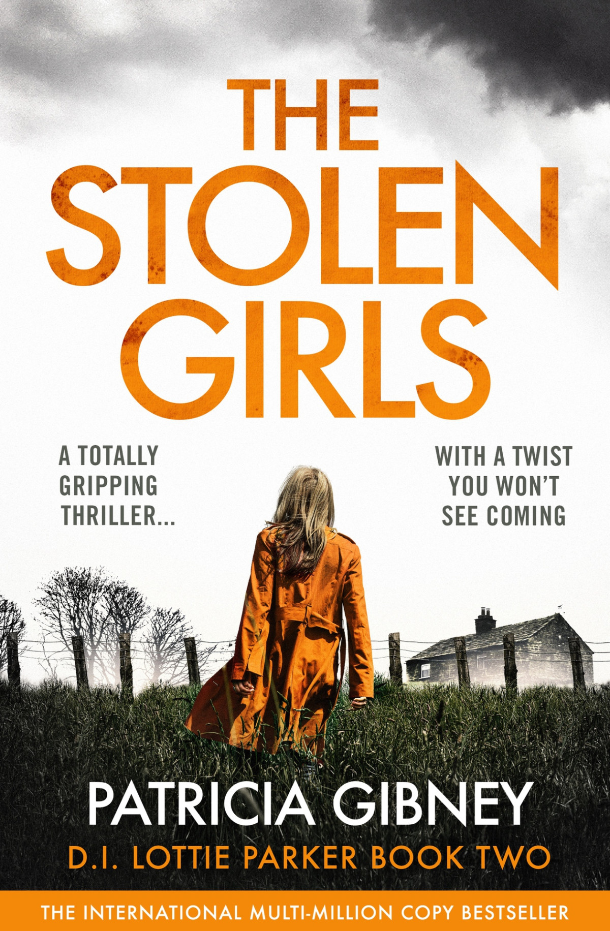 The Stolen Girls A Totally Gripping Thriller With A Twist You Wont See Coming Detective Lottie Parker Book 2 Patricia Gibney