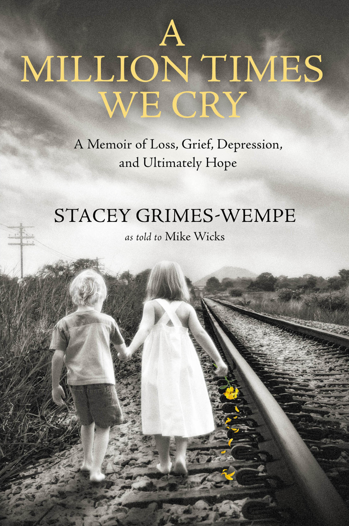 A Million Times We Cry A Memoir Of Loss Grief Depression And Ultimately Hope Stacey Grimeswempe