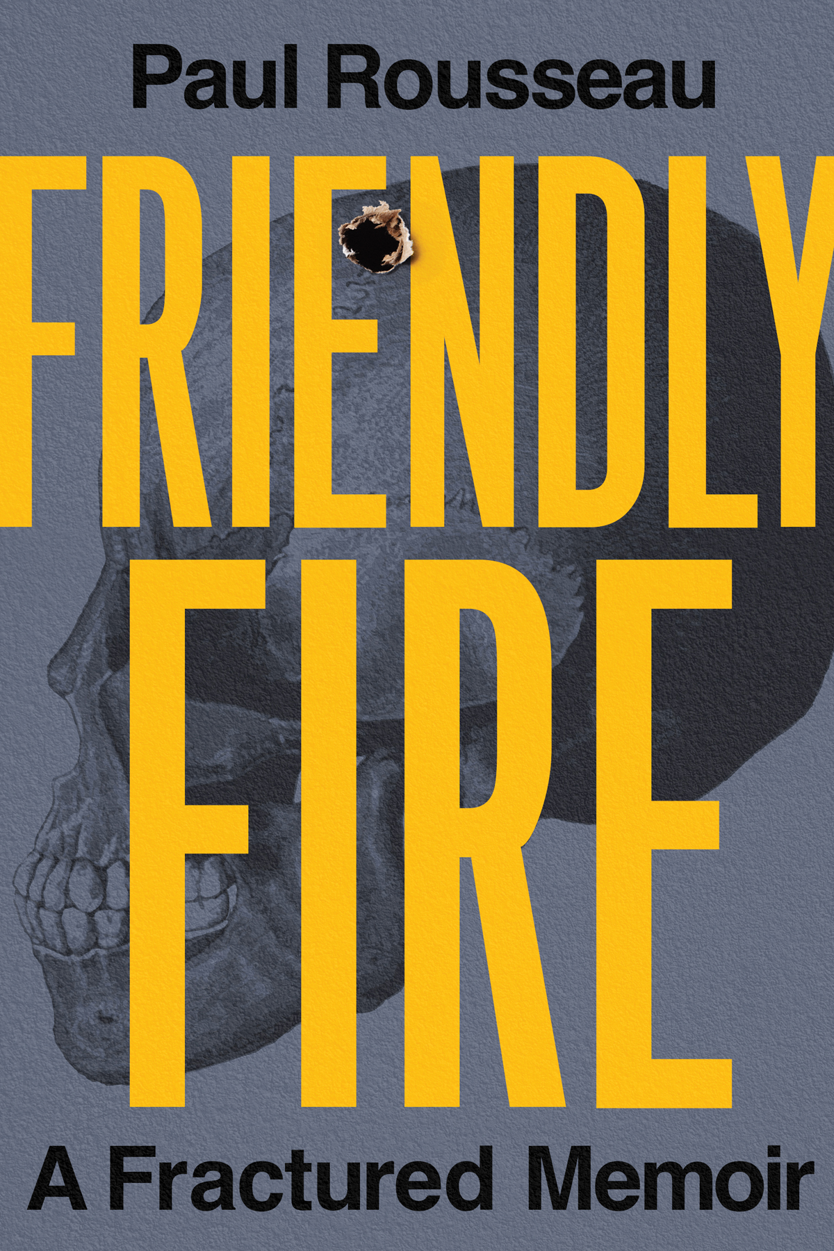 Friendly Fire Paul Rousseau