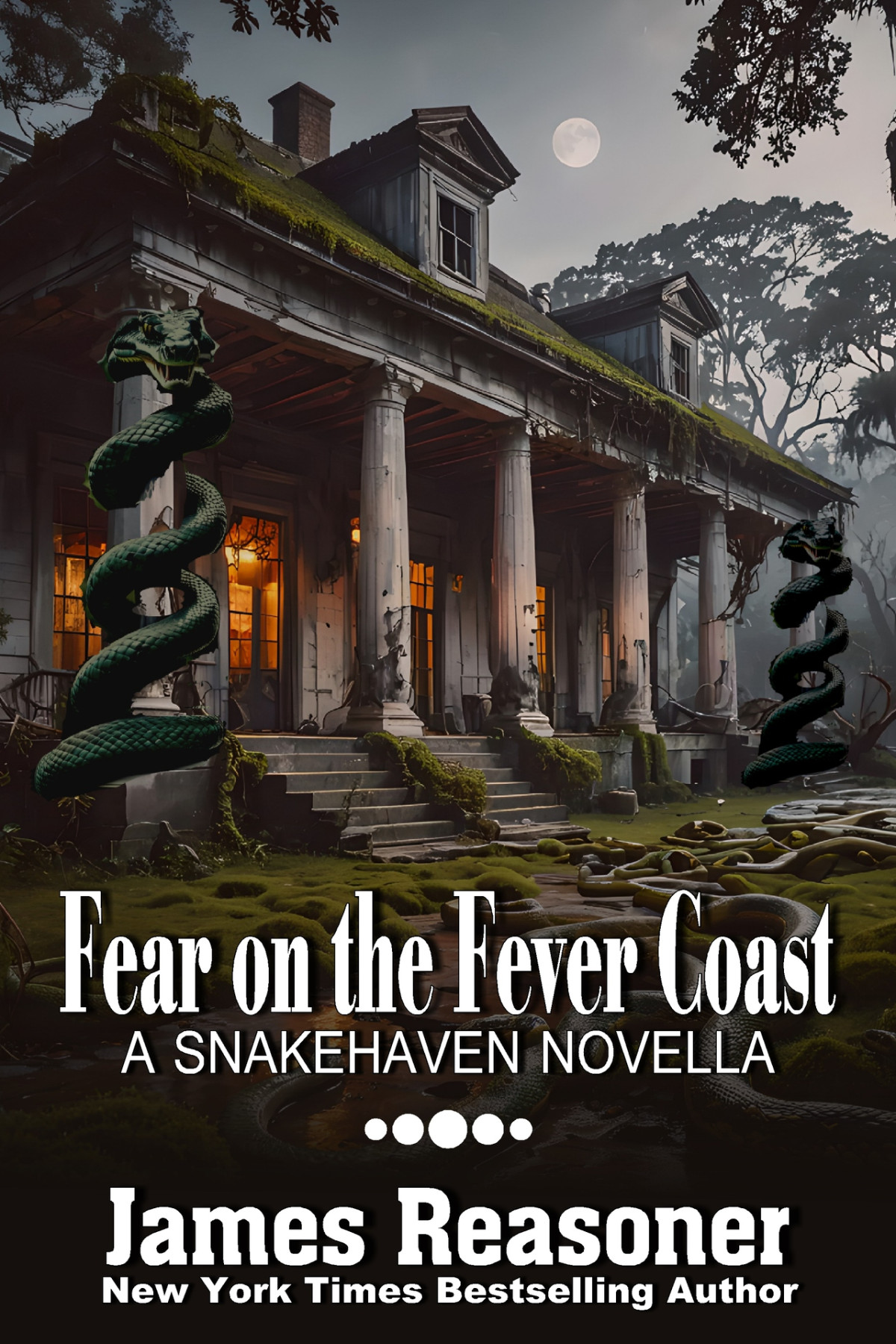 Fear On The Fever Coast The Snakehaven Series Book 2 Reasoner