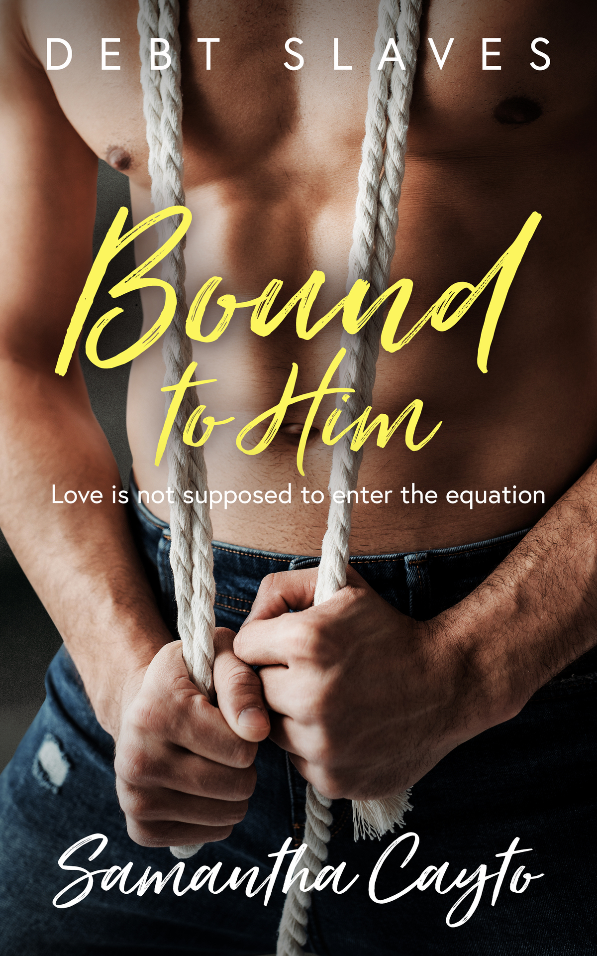 Bound To Him A Lgbtqia Billionaire Boyfriend For Hire Romance Samantha Cayto