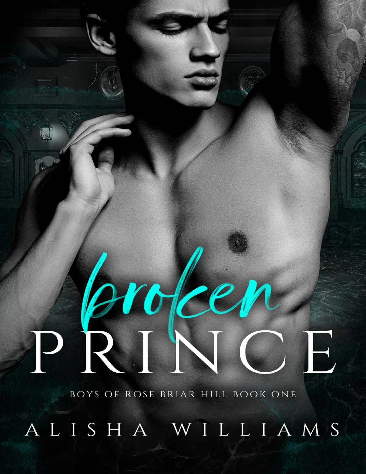 Broken Prince Boys Of Rose Briar Hill Book One Alisha Williams