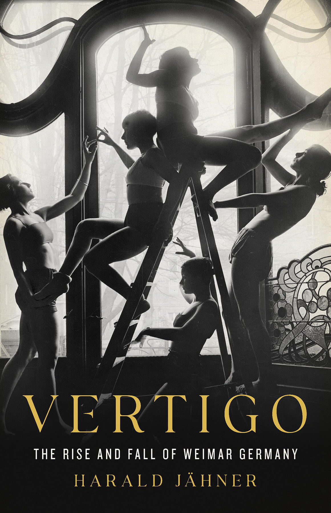 Vertigo The Rise And Fall Of Weimar Germany Harald Jhner