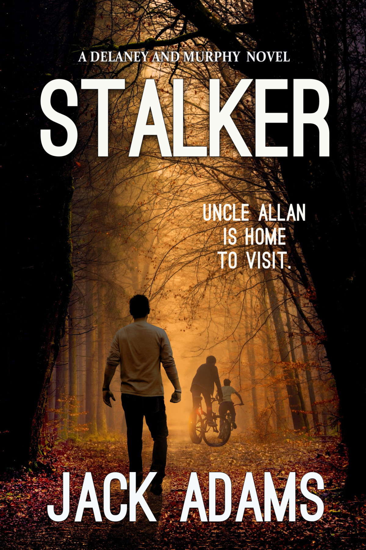 Stalker A Delaney And Murphy Mystery Jack Adams