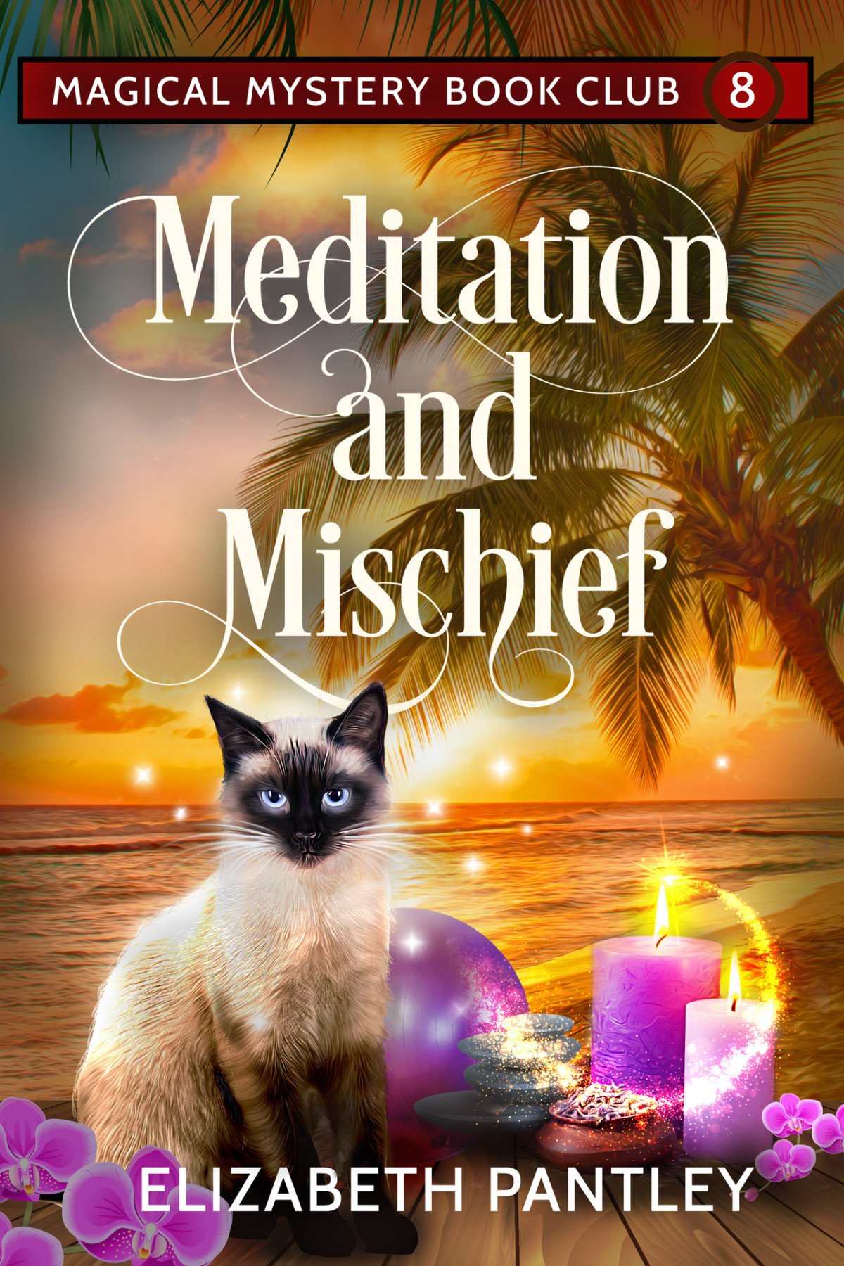 Meditation And Mischief Magical Mystery Book Club 8 Elizabeth Pantley