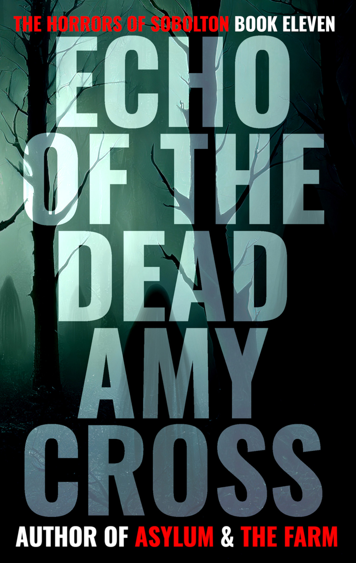 Echo Of The Dead Amy Cross