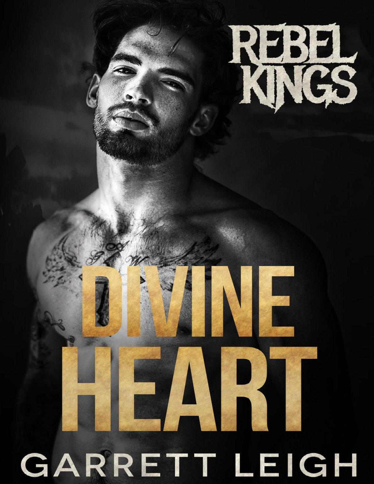 Divine Heart Rebel Kings Mc Book 8 Garrett Leigh