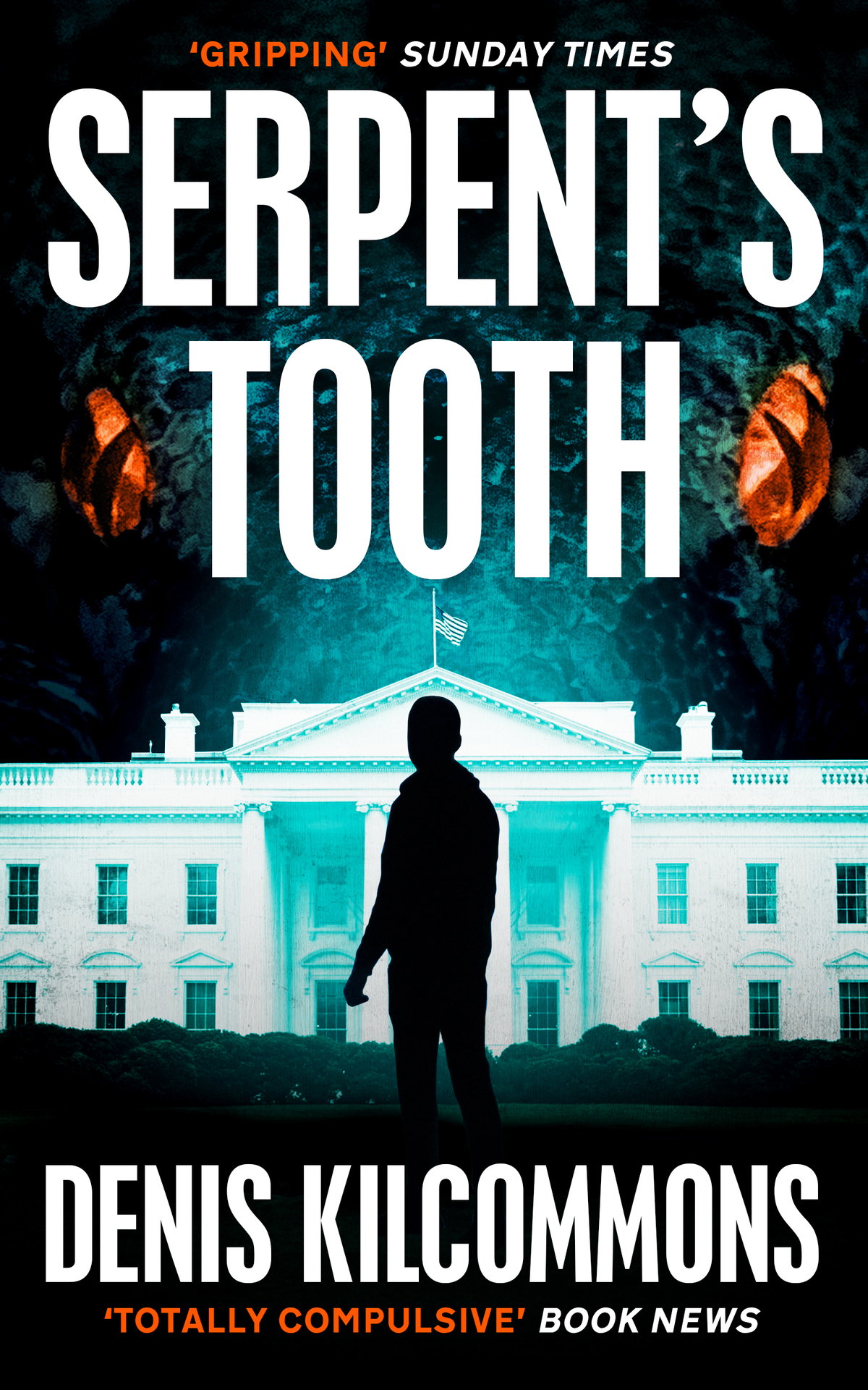 Serpents Tooth A Nervewracking Edgeofthe Seat Thriller Denis Kilcommons