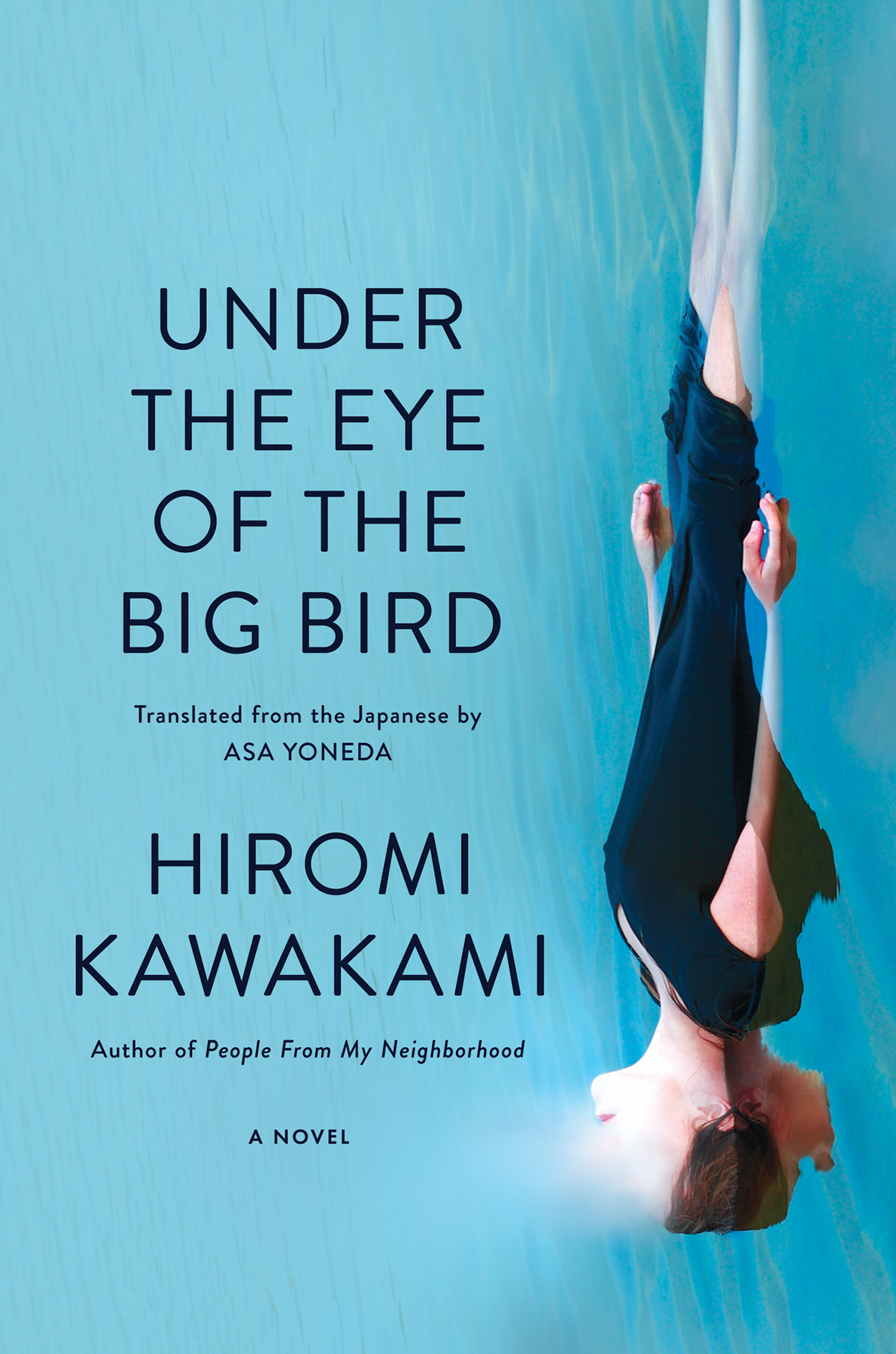 Under The Eye Of The Big Bird Hiromi Kawakami
