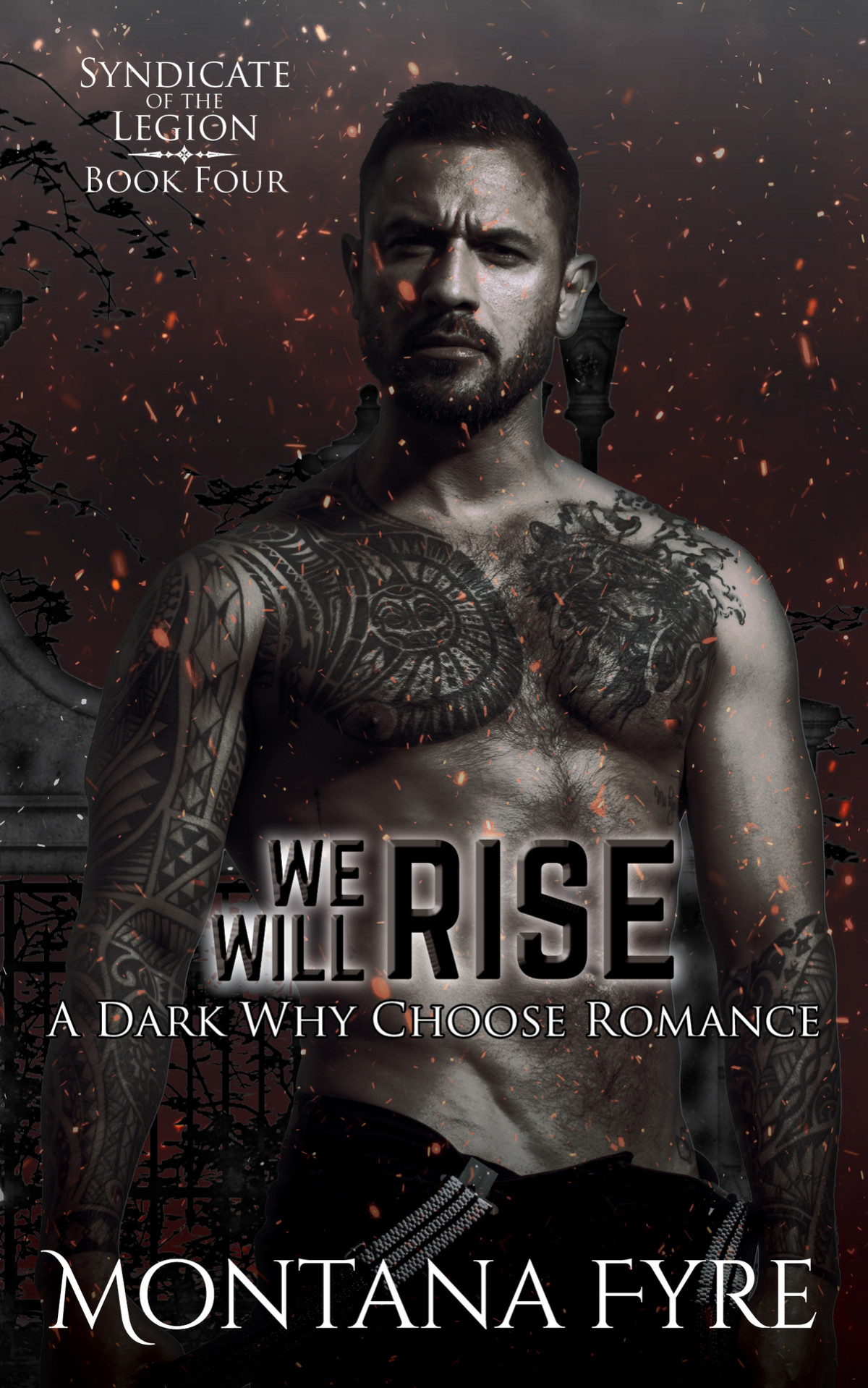 We Will Rise A Dark Why Choose Romance Montana Fyre