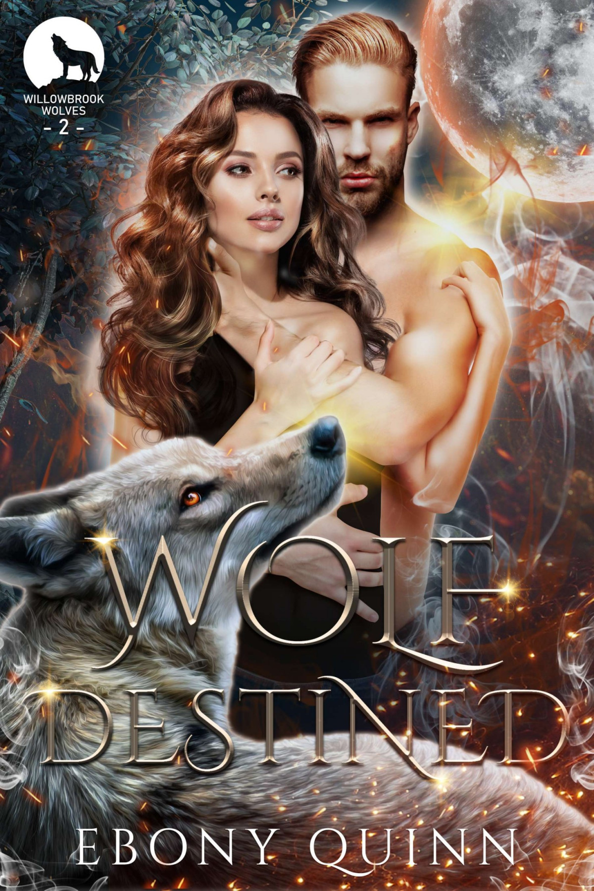 Wolf Destined Fated Mates Paranormal Romance Ebony Quinn