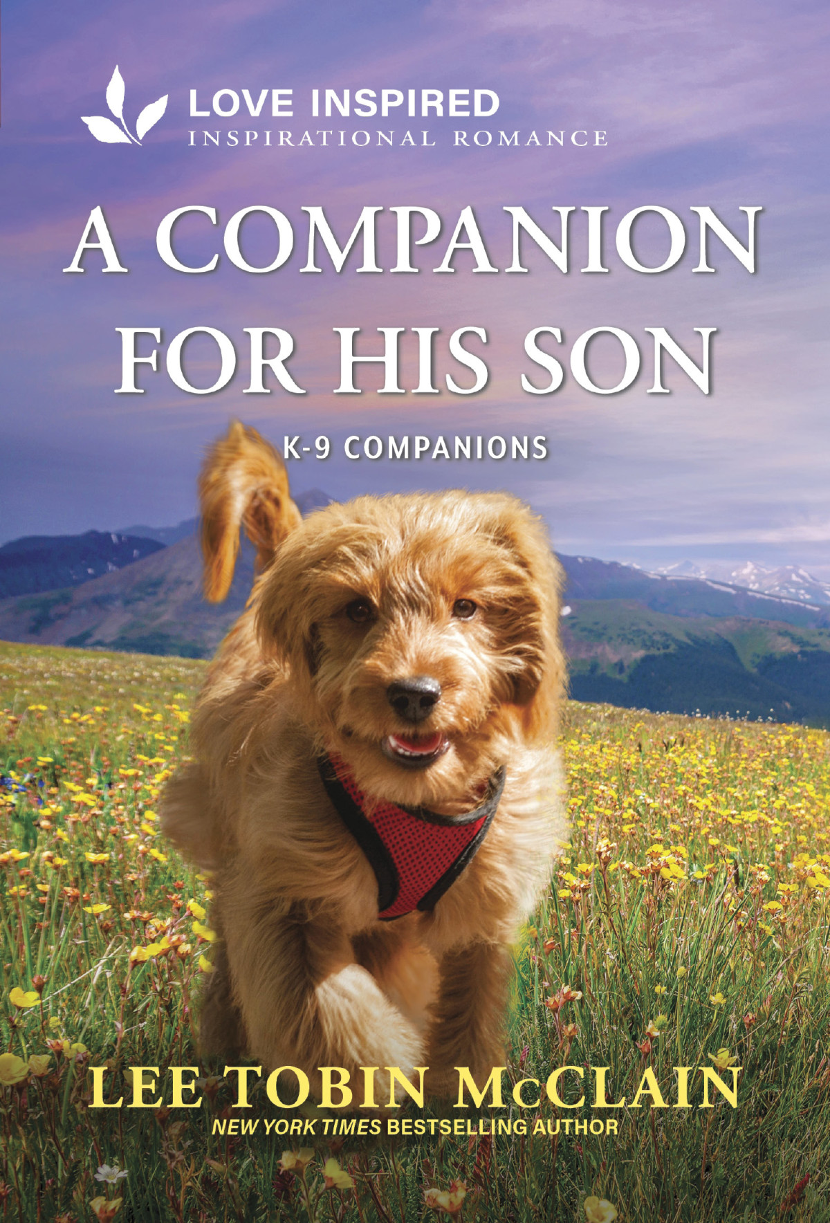 A Companion For His Son Lee Tobin Mcclain