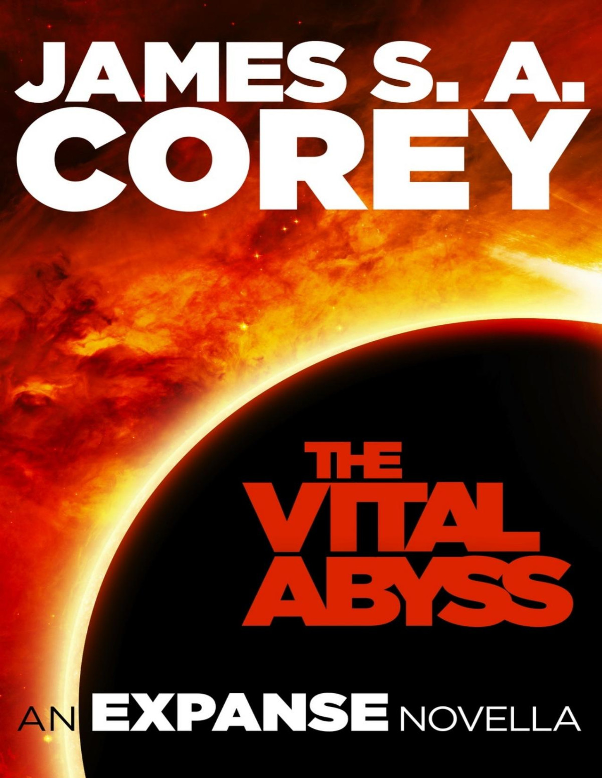 The Vital Abyss Corey James S A