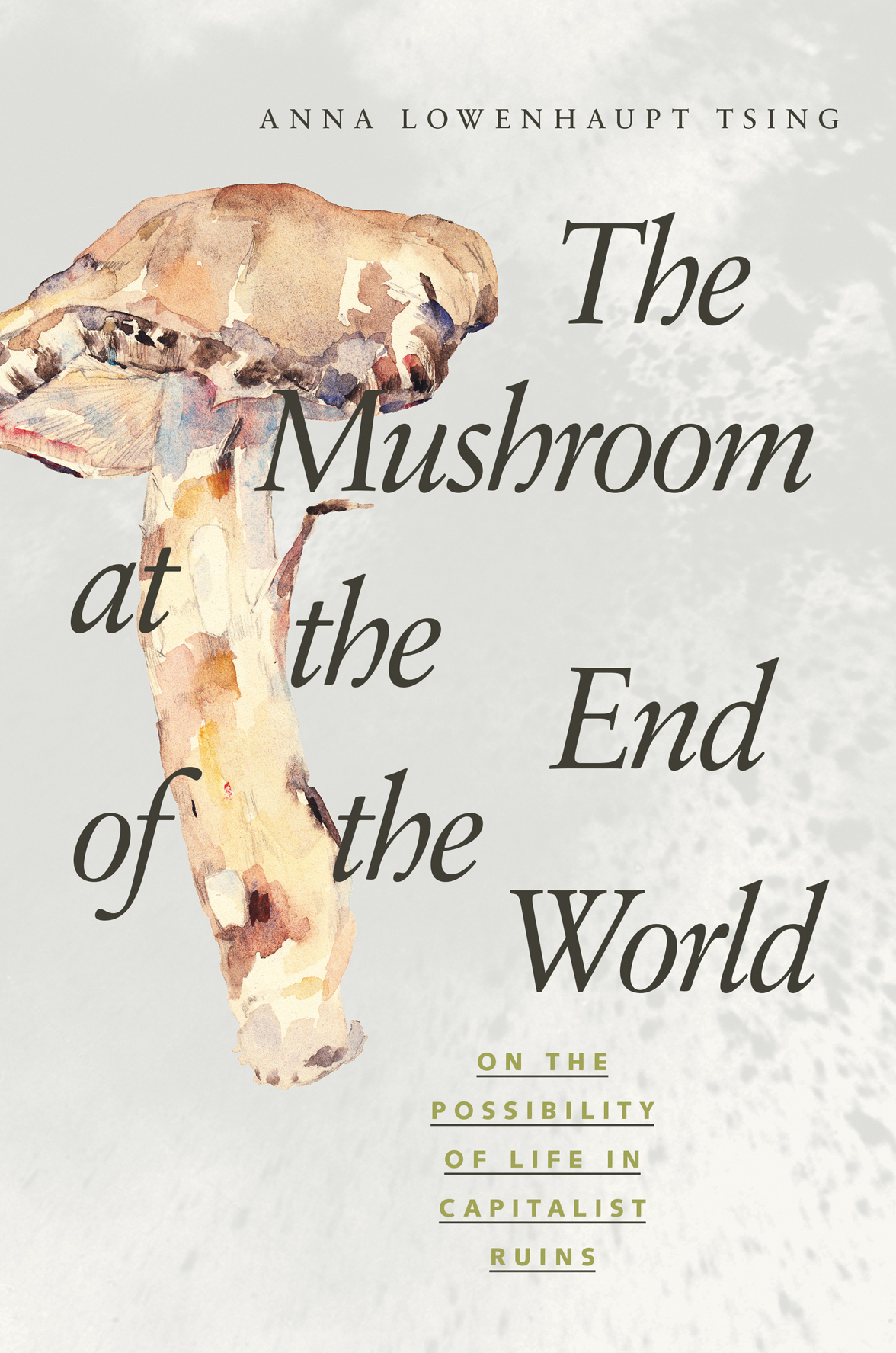 The Mushroom At The End Of The World On The Possibility Of Life In Capitalist Ruins Tsing