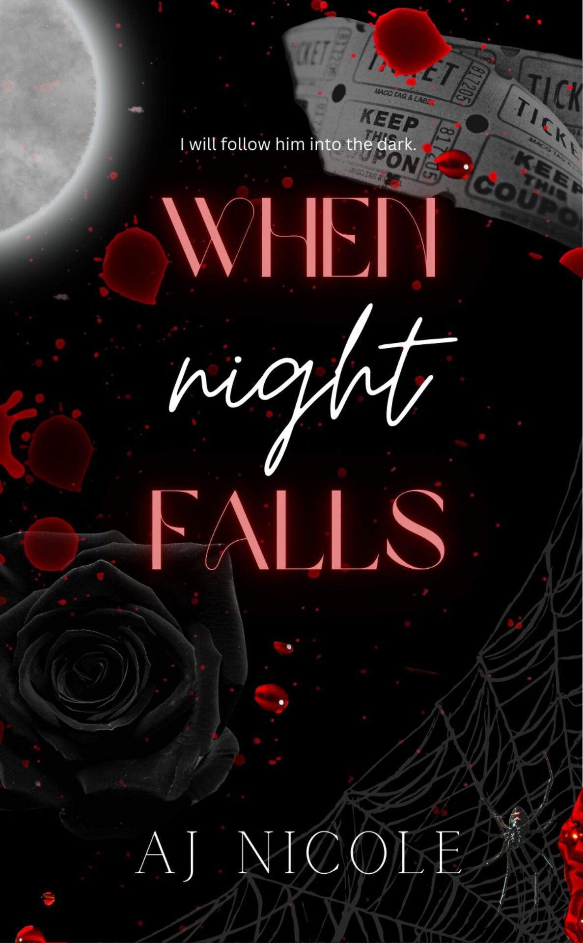 When Night Falls Aj Nicole
