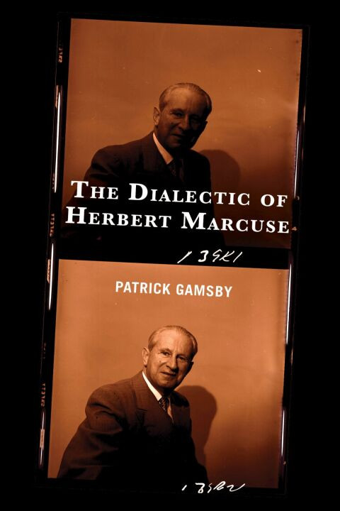 The Dialectic Of Herbert Marcuse 1st Edition Patrick Gamsby