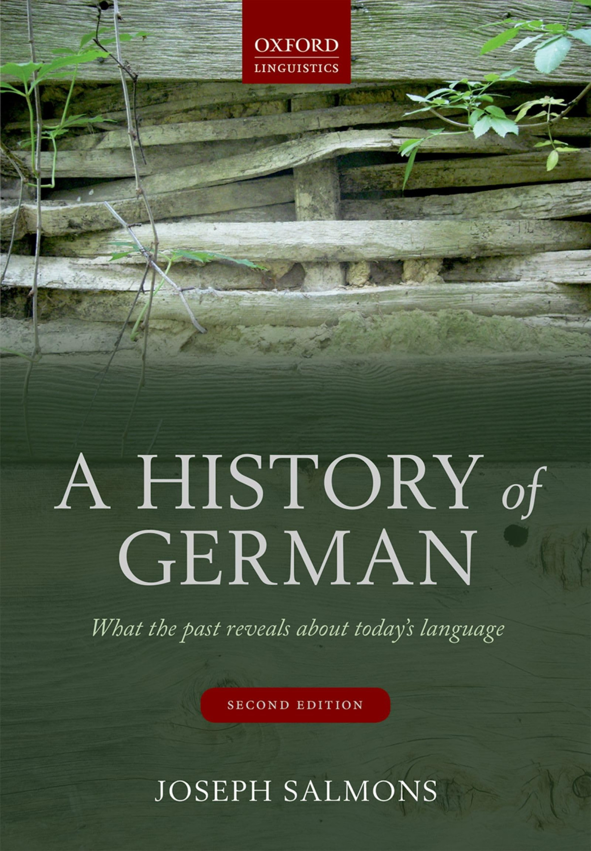 A History Of German What The Past Reveals About Todays Language 2nd Joseph Salmons