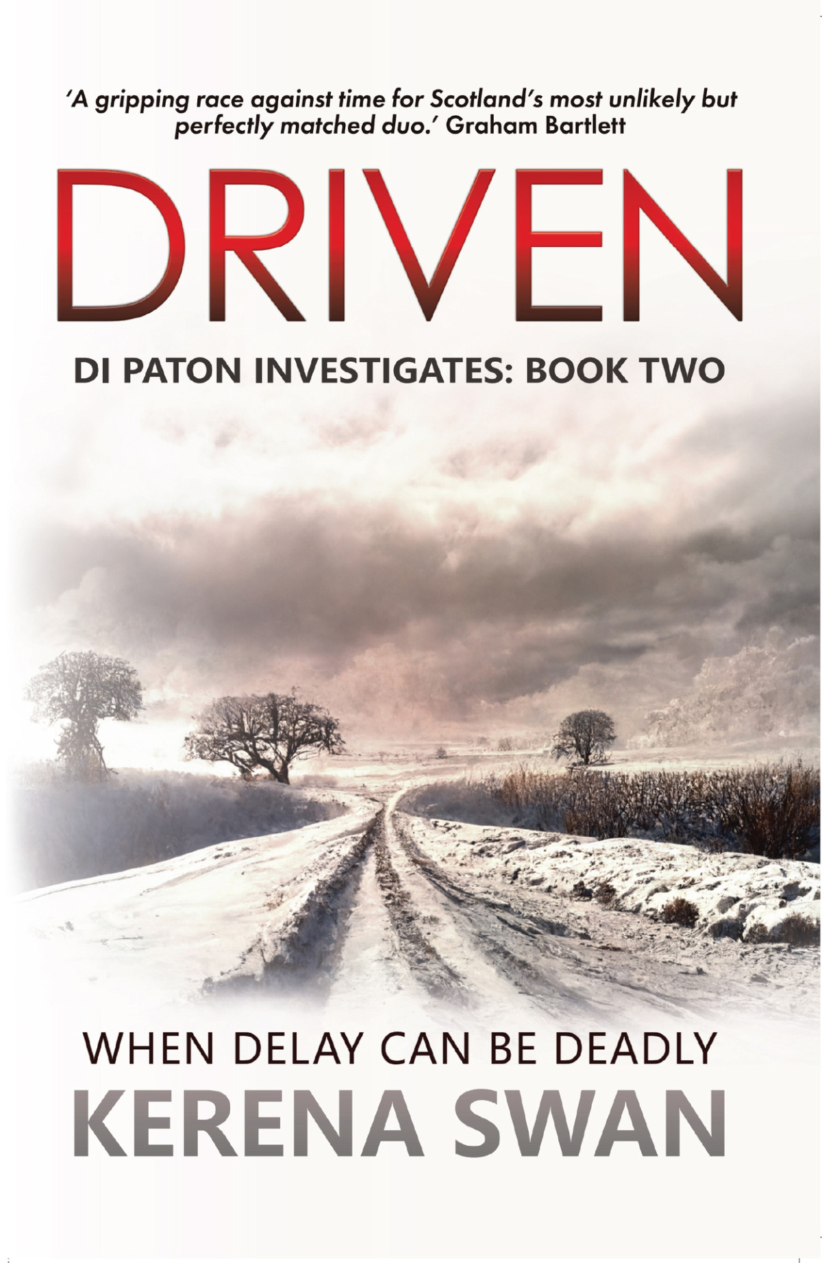 Driven Di Paton Investigates Book 2 Swan Kerena