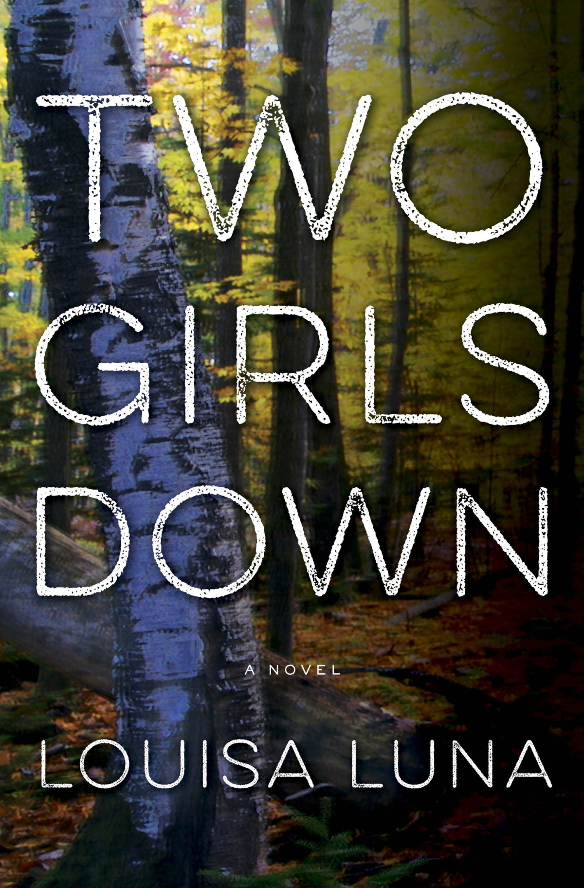 Two Girls Down Louisa Luna