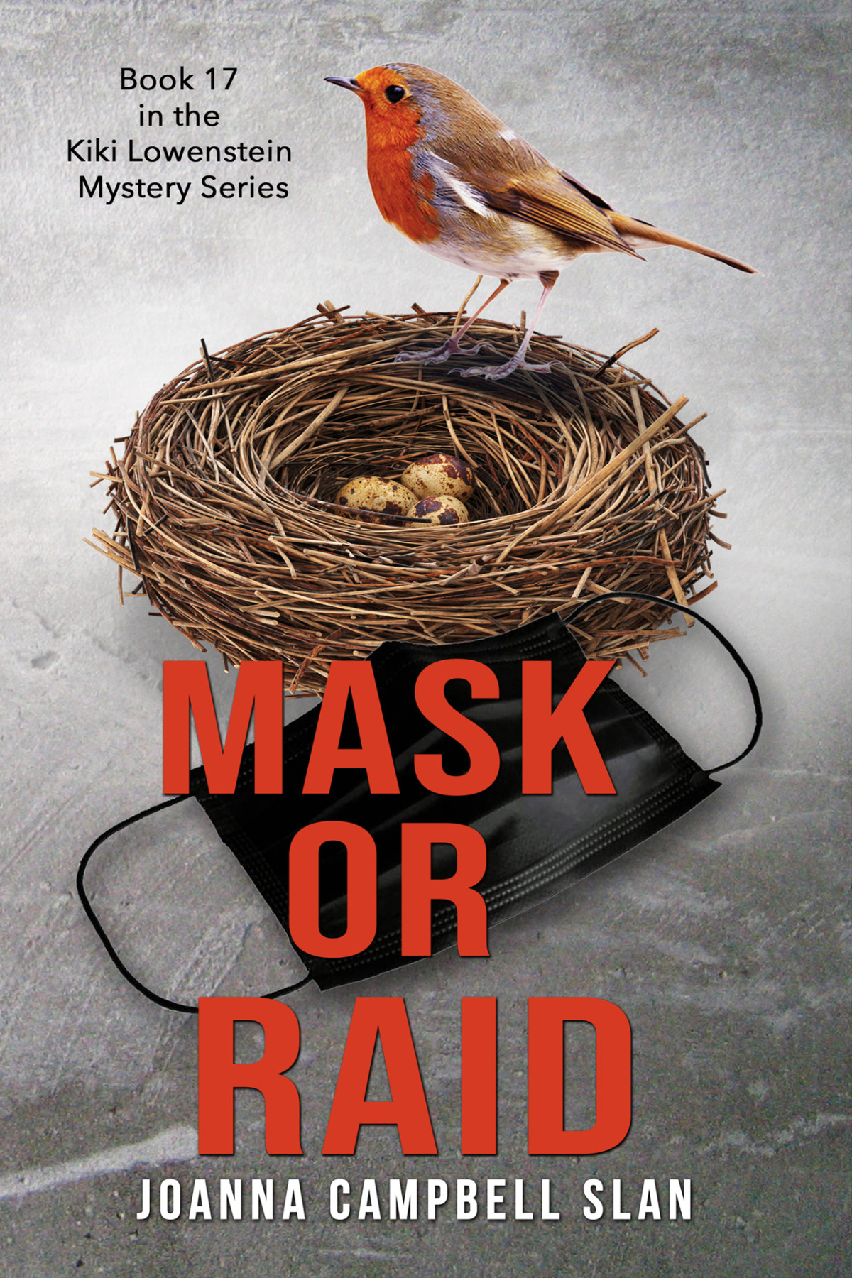 Mask Or Raid Book 17 In The Kiki Lowenstein Mystery Series Slan