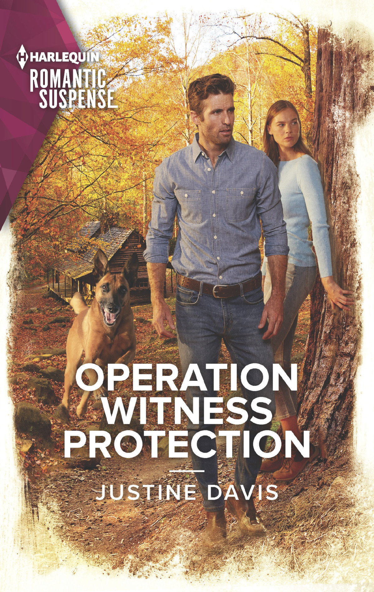 Operation Witness Protection Justine Davis