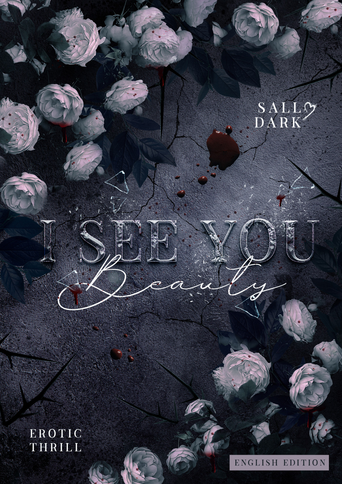I See You Beauty Standalone Erotic Thrill Sally Dark