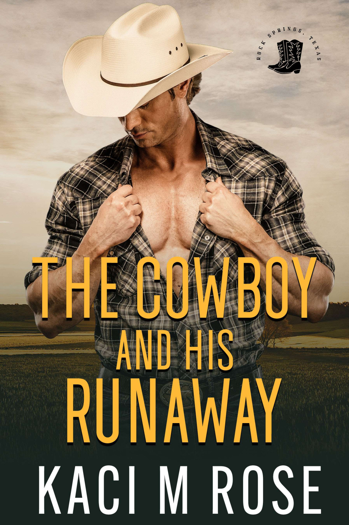 The Cowboy And His Runaway Kaci M Rose