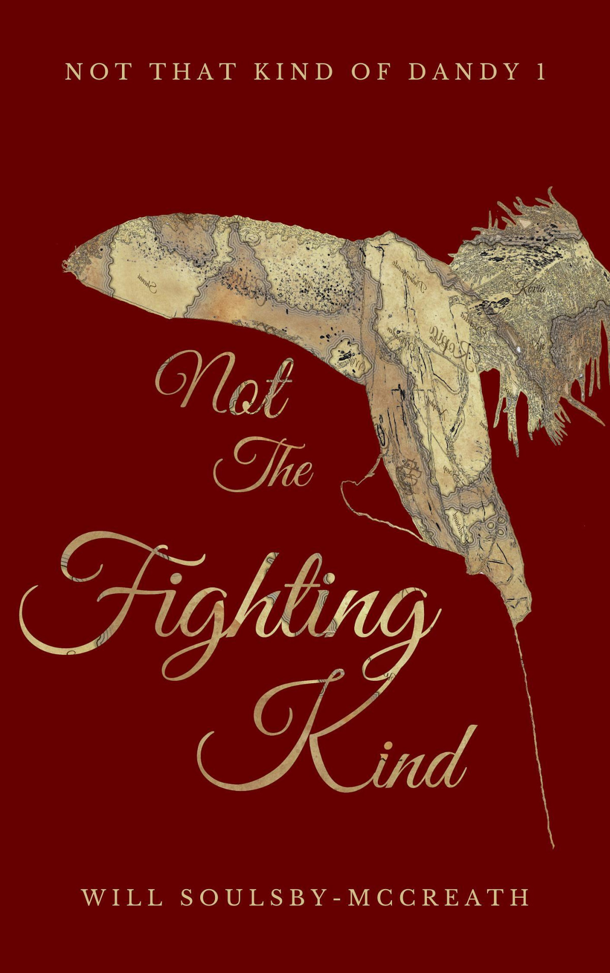 Not The Fighting Kind Will Soulsbymccreath