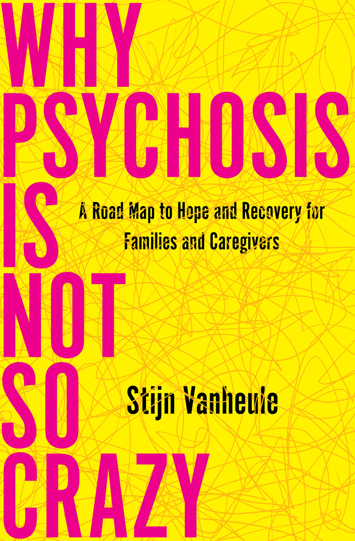 Why Psychosis Is Not So Crazy A Road Map To Hope And Recovery For Families And Caregivers Stijn Vanheule