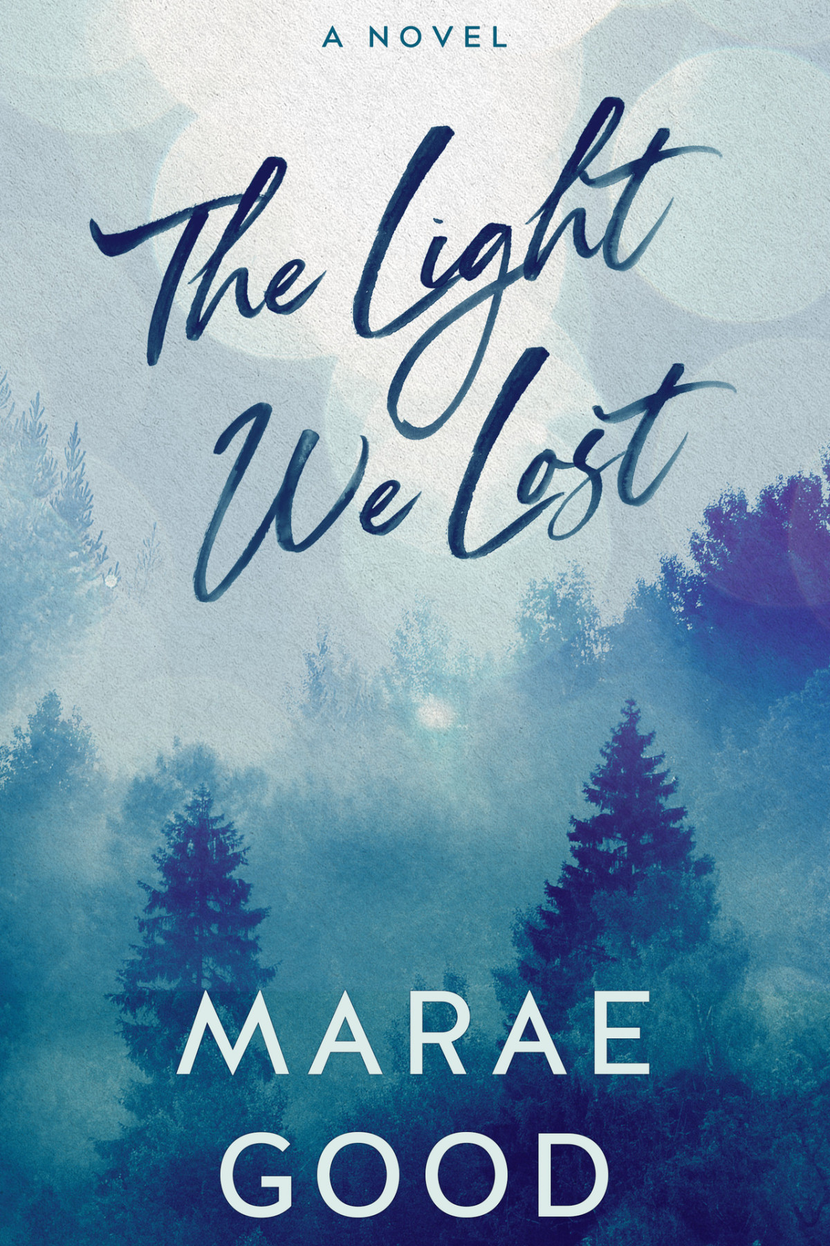 The Light We Lost Lost And Found In Wallowpine Book 2 Marae Good