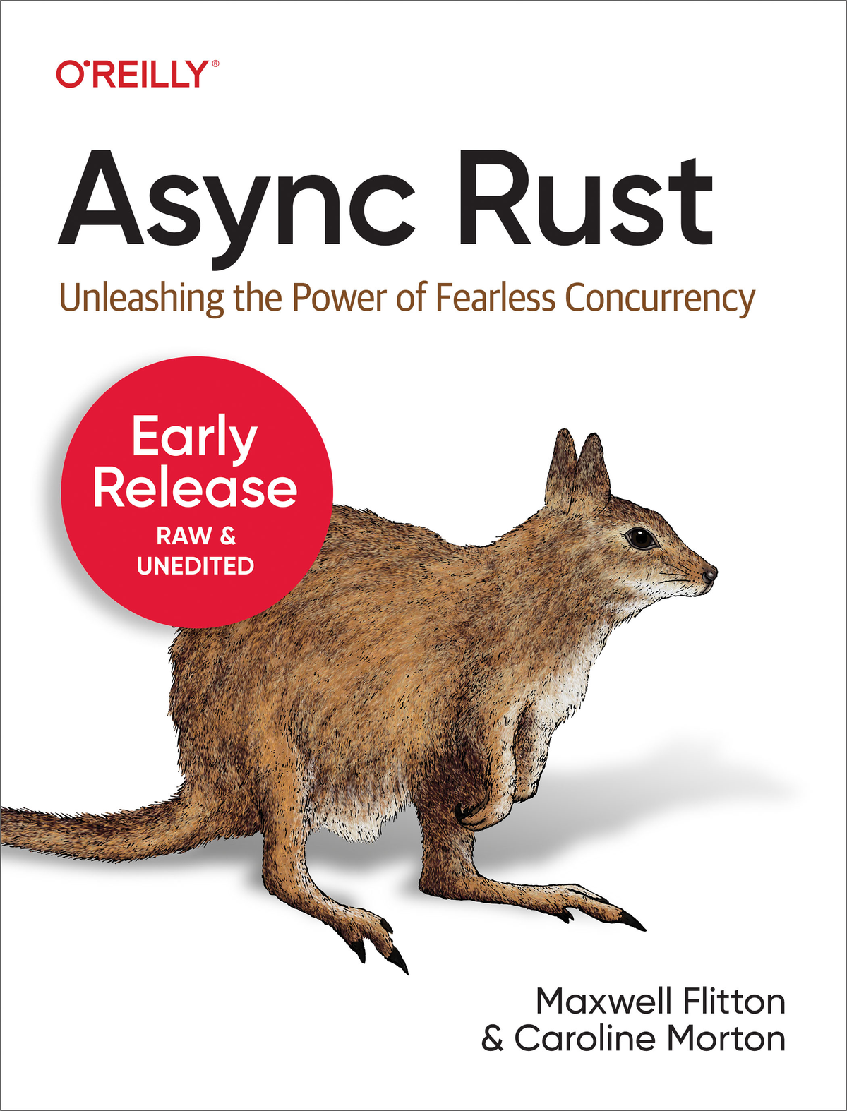 Async Rust Maxwell Flitton And Caroline Morton