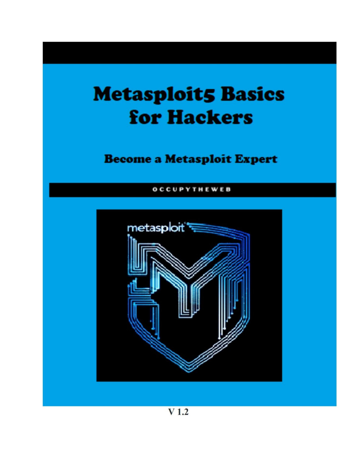 Metasploit Basics For Hackers Occupytheweb